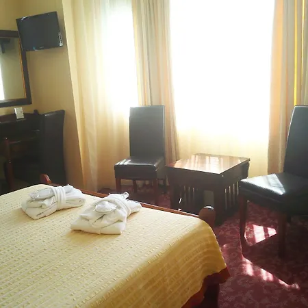Hotel Alexandre III-2
